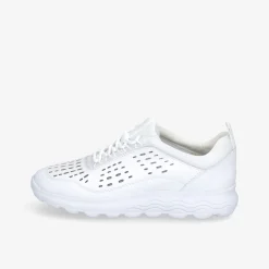 GEOX D SPHERICA A Damen Sneaker Low-Damen Sneaker | Größen Ab 42