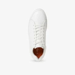 MARCO TOZZI by GMK ​ Herren Sneaker Low-Herren Sneaker