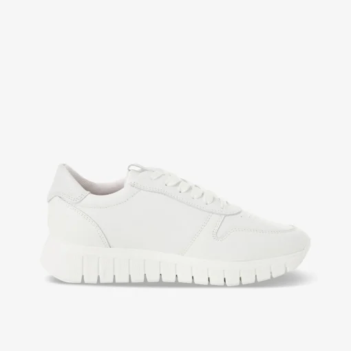 Tamaris Damen Sneaker Low-Damen Sneaker | Größen Ab 42