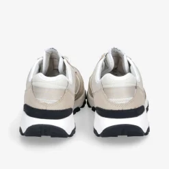 Timberland ​ Winsor Park Herren Sneaker Low-Herren Sneaker