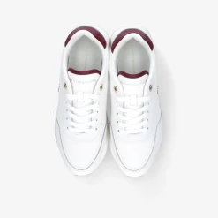 TOMMY HILFIGER ​ Damen Sneaker Low-Damen Sneaker | Größen Ab 42